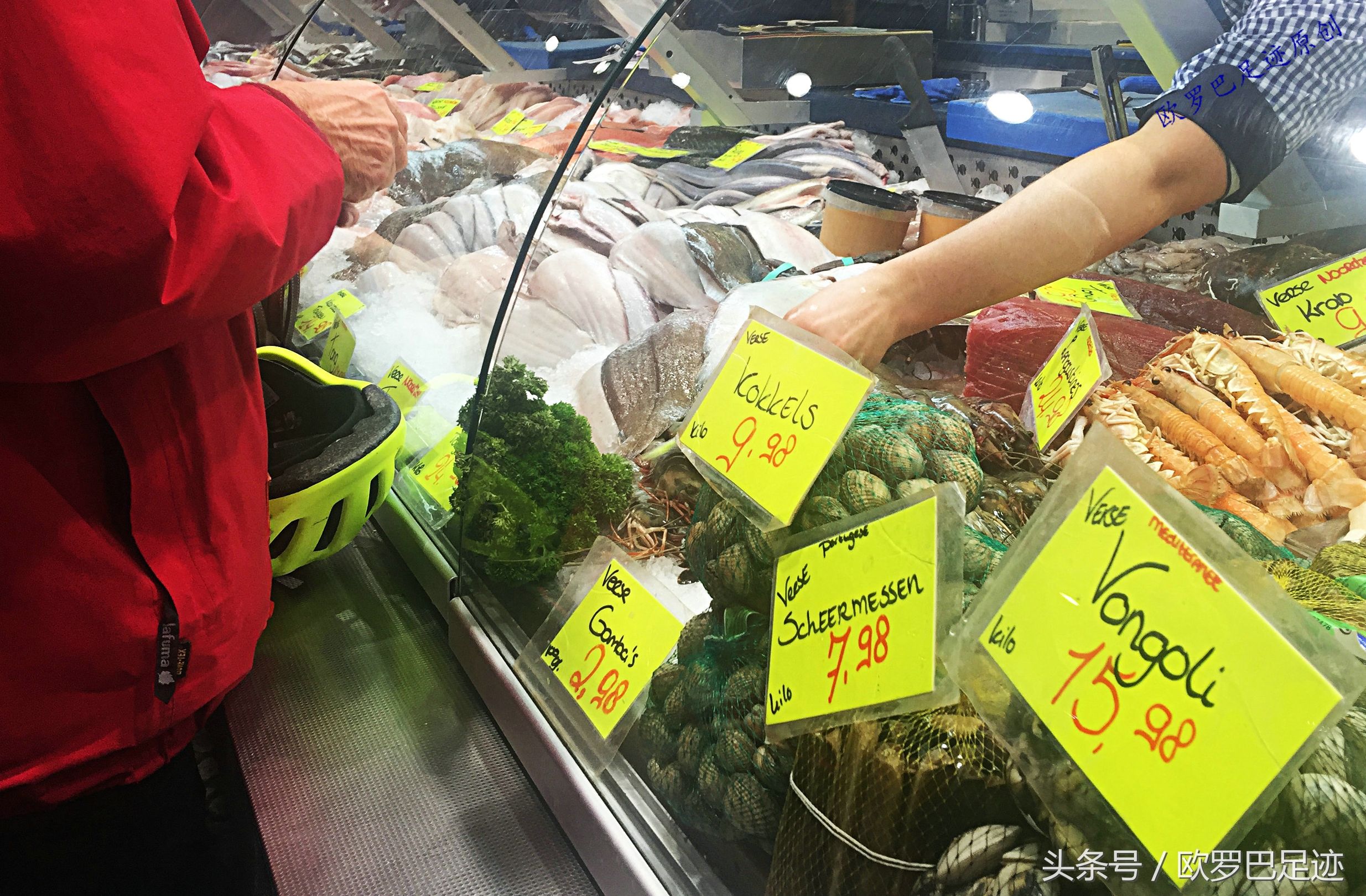 中国厨子邂逅欧洲小镇海鲜市,不认识的鱼炖起来也不手软