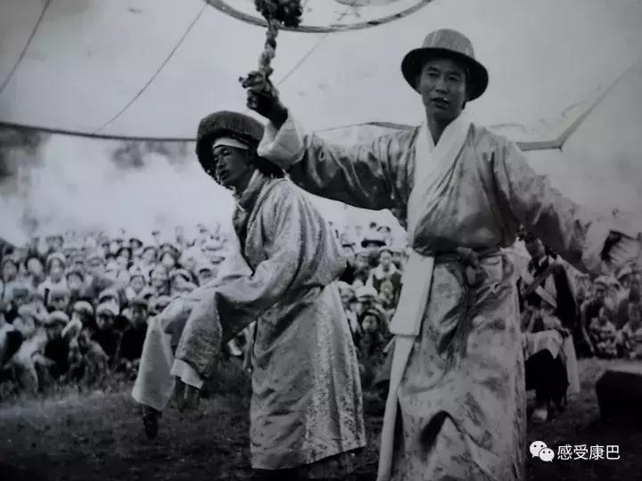 雪山上的红牡丹,藏族雪山上的红牡丹