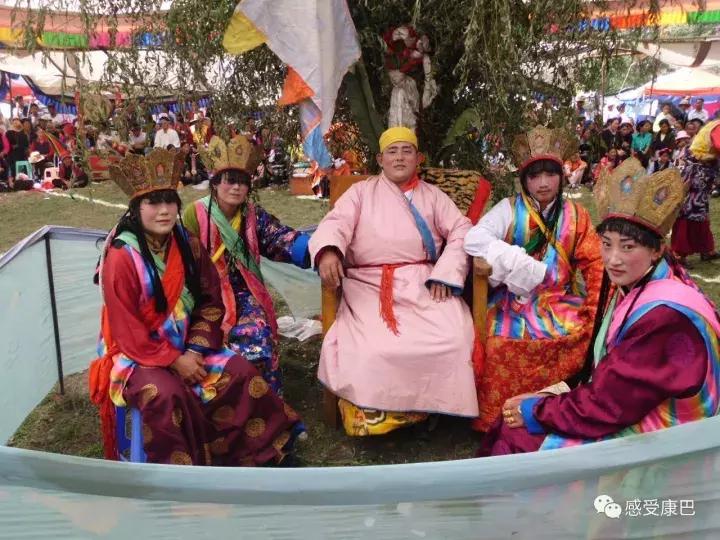 雪山上的红牡丹,藏族雪山上的红牡丹