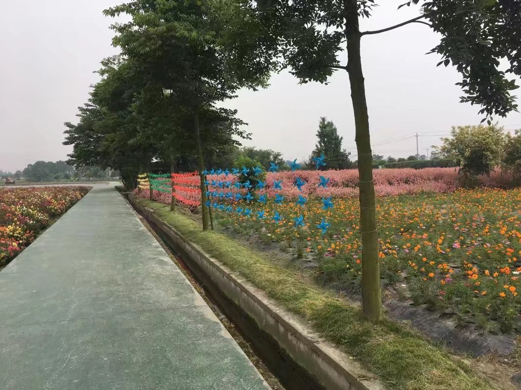 郫都区附近的农家乐和休闲农庄,郫都妈妈农庄照片