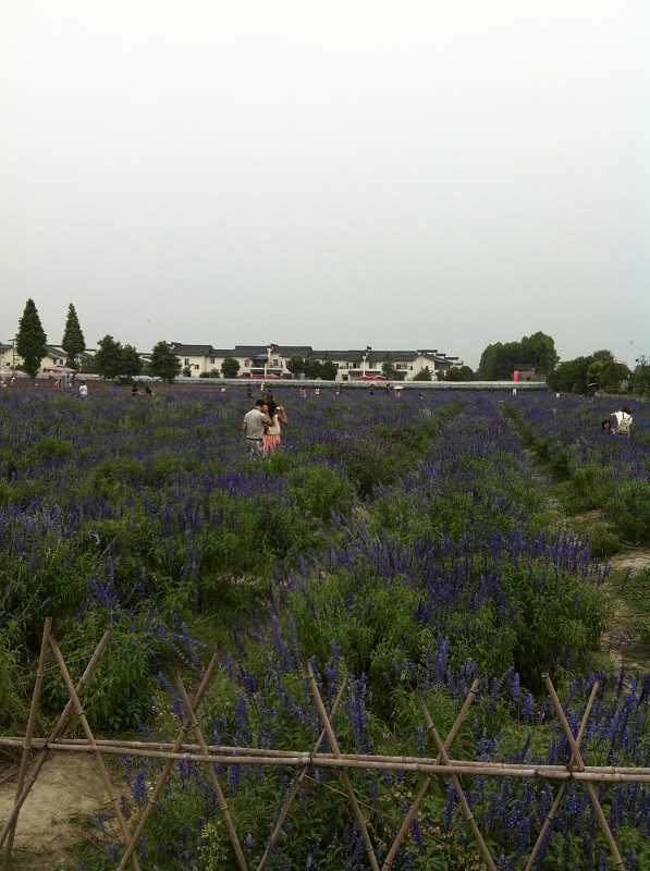 郫都区附近的农家乐和休闲农庄,郫都妈妈农庄照片