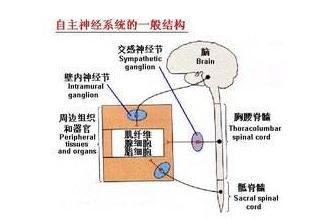 糖友抗糖的好方法,如何预防糖尿病神经病变
