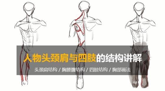 超认真的小白绘画教程你学会了吗,从零开始基础绘画教程