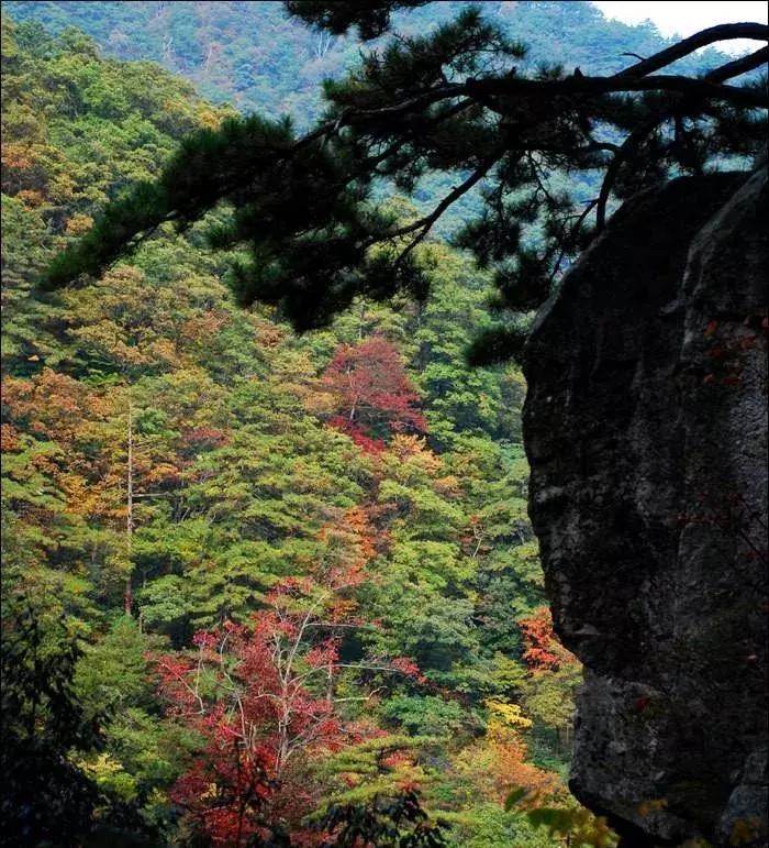 六安去天堂寨风景区怎么去,六安天堂寨风景区自驾游攻略