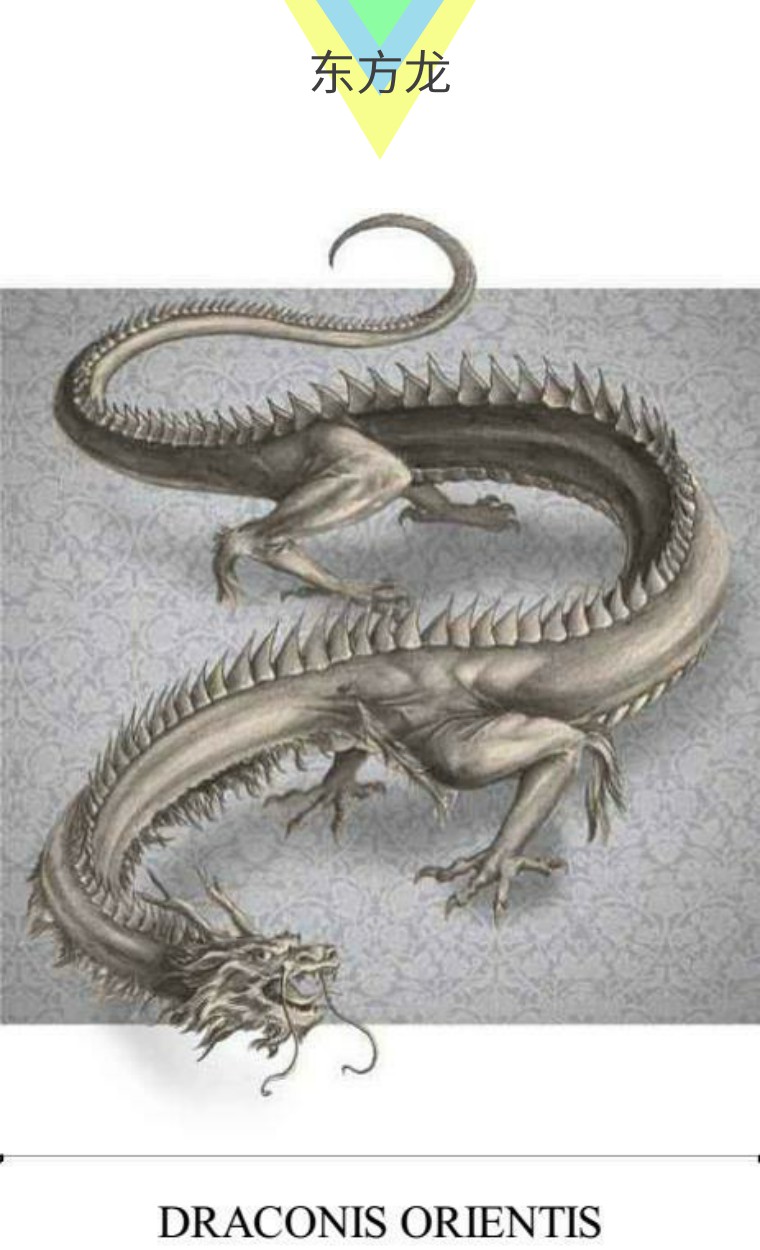 关于解剖美人鱼的电影解说,解剖美人鱼成功视频