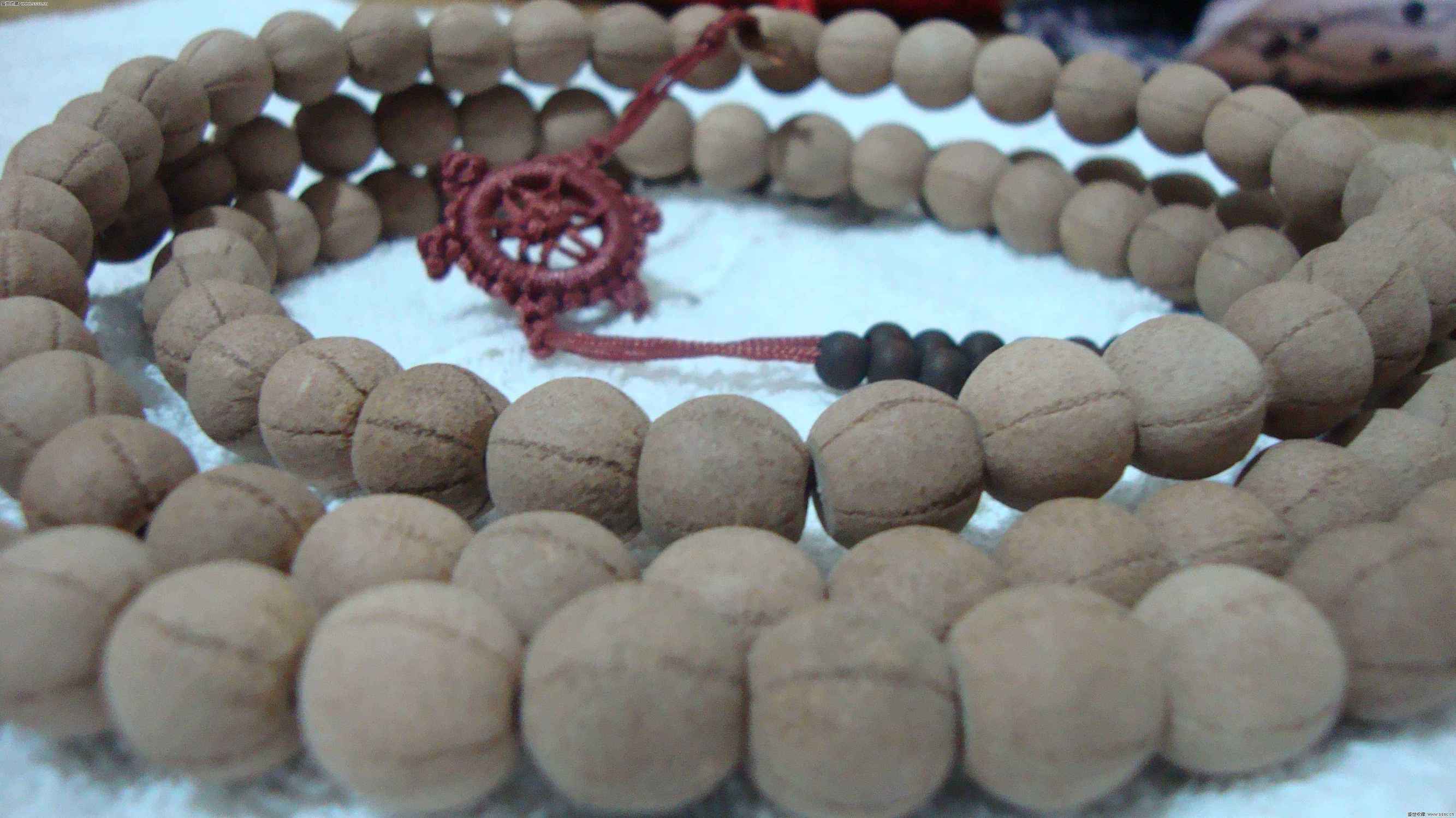 去旅游再也不怕奸商蒙人了，一篇能让你认清所有菩提子的文章！