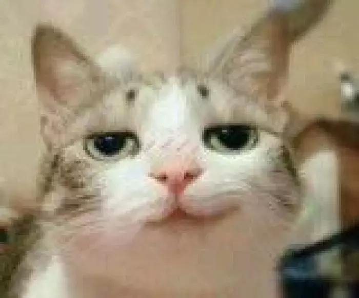 喜糖评测,喜糖攻略超级实用准新人必读