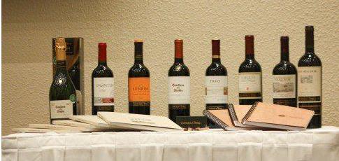 干露酒庄,干露酒庄魔爵赤霞珠红葡萄酒2009