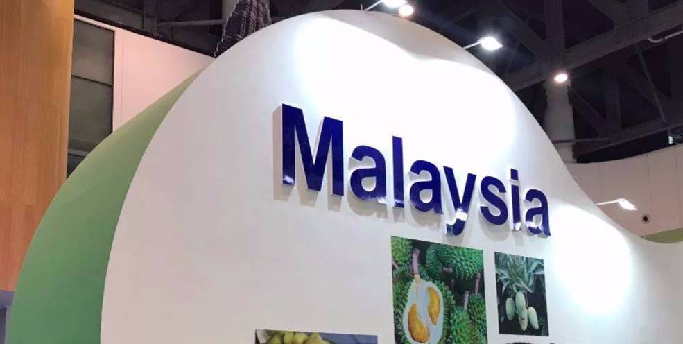 田田深入2017四川农博会，逛一圈，胖5斤！