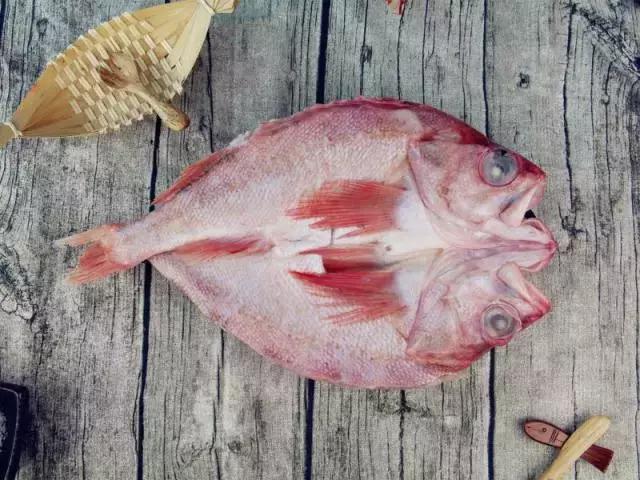 为什么深海鱼都长那么丑,深海鱼为啥都很丑