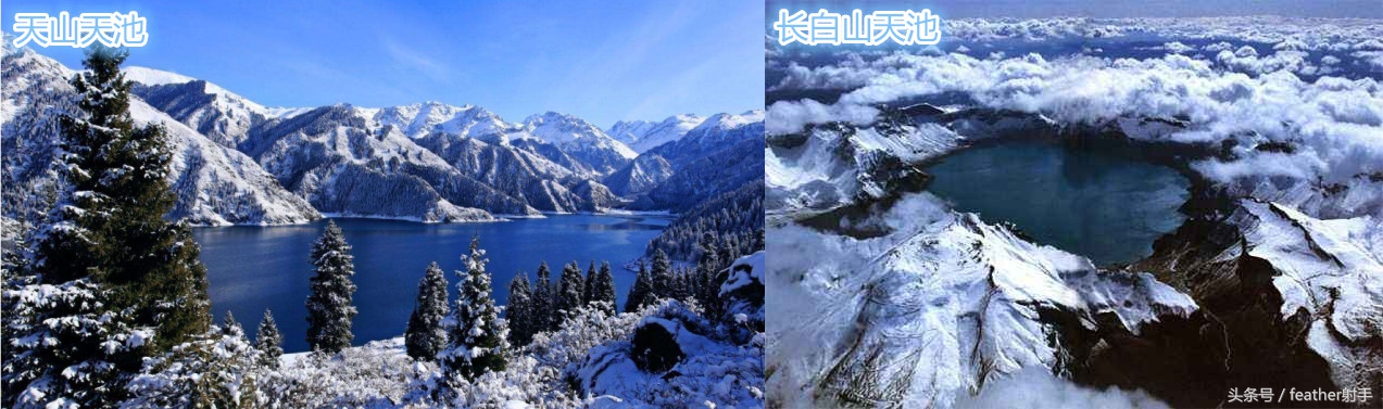 长白山天池人参鹿肉干,天山大盘鸡长春