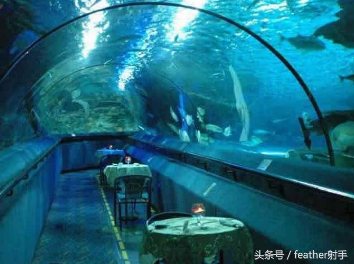 太平洋海洋馆和北京海洋馆哪个好,北京海洋馆和上海海昌海洋馆