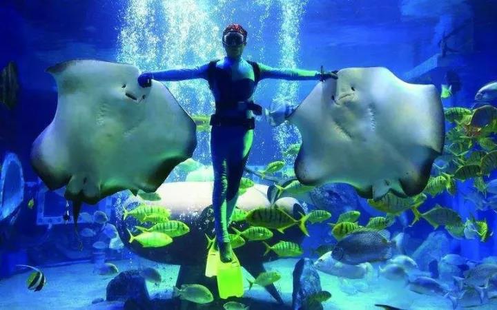 不带孩子去的地方,不带孩子去玩的二人世界