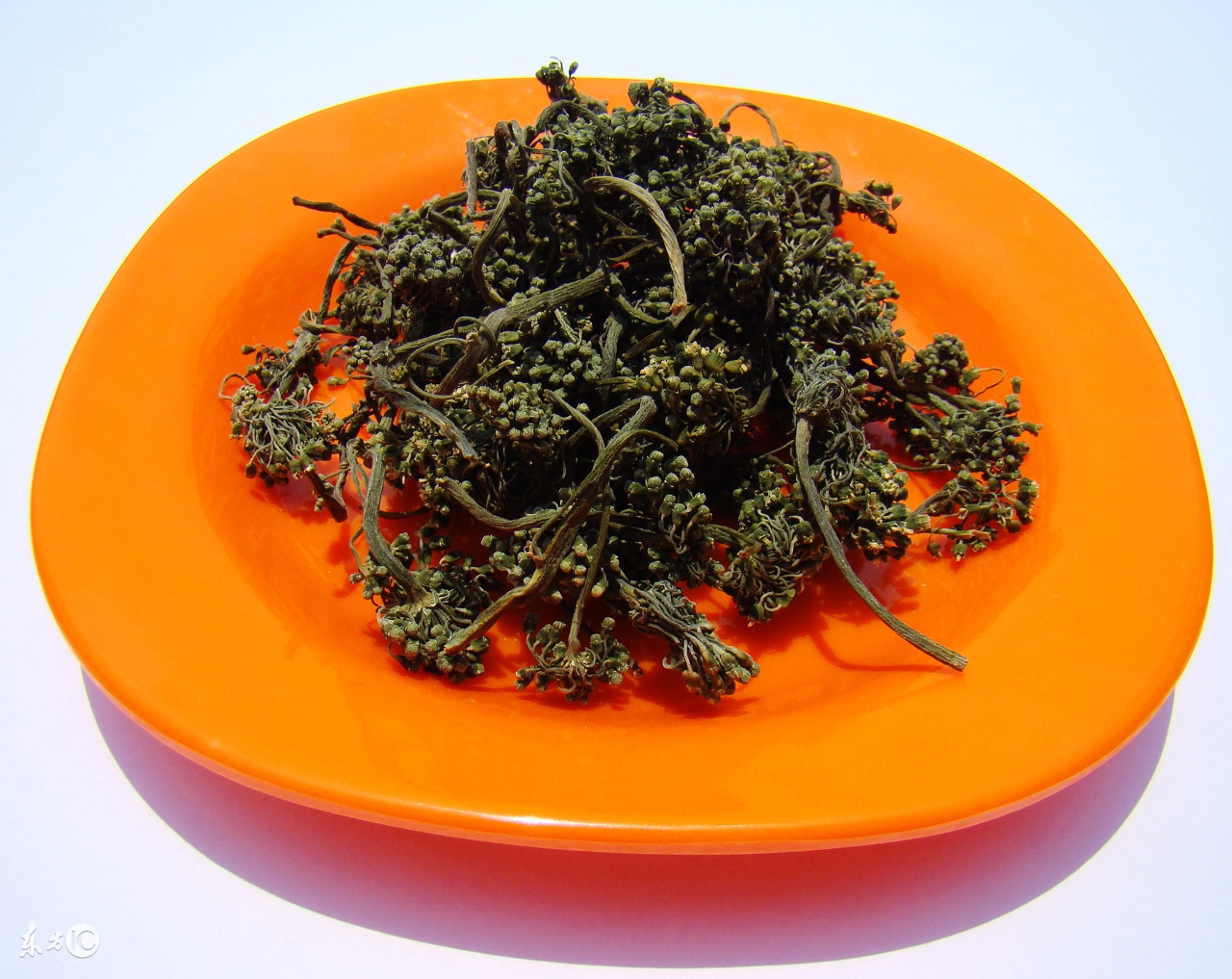 三七花的功效的视频,三七花的功效与作用价格