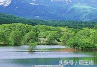 淘客如何利用店淘引流,店铺淘客怎样提升店铺销量