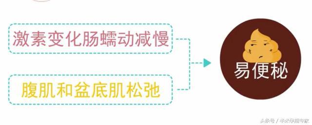 孕晚期便秘怎么办最快最有效,产妇便秘按一个穴位马上大便