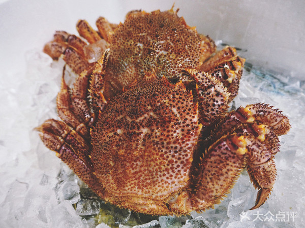 表白被拒的心,只有这家的海鲜刺身可以治愈