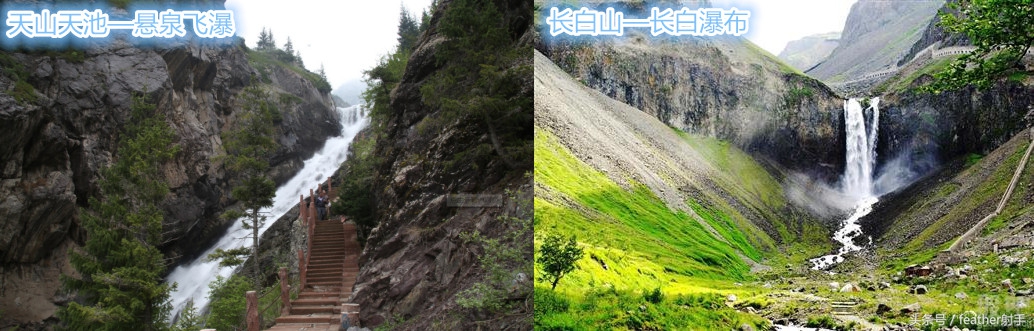 长白山天池人参鹿肉干,天山大盘鸡长春