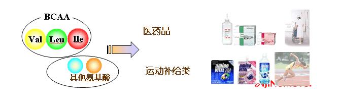 各种氨基酸之间的区别在于什么,氨基酸你知道是什么吗