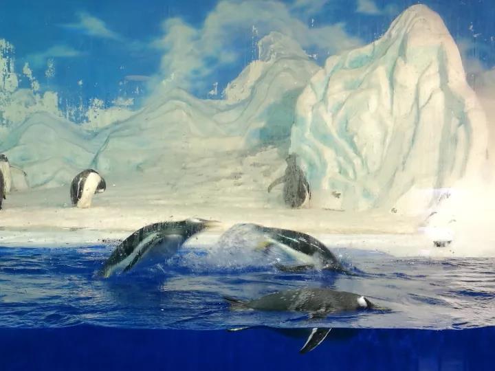 不带孩子去的地方,不带孩子去玩的二人世界