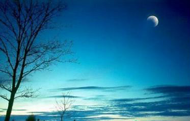 怎样跟培训班小孩子互动 (与小孩互动该问些什么问题呢)