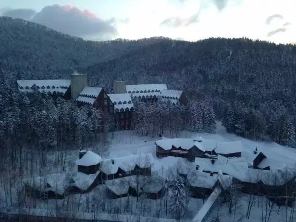 东芝集团被收购,东芝冰箱被中国哪家企业收购