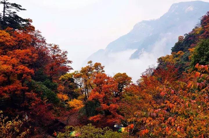 六安去天堂寨风景区怎么去,六安天堂寨风景区自驾游攻略