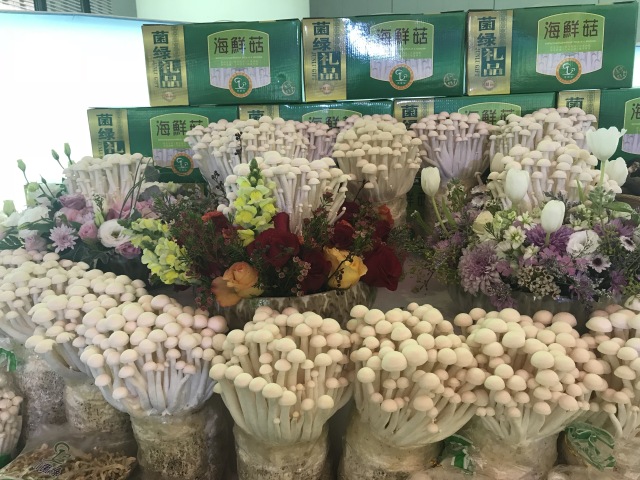 田田深入2017四川农博会，逛一圈，胖5斤！