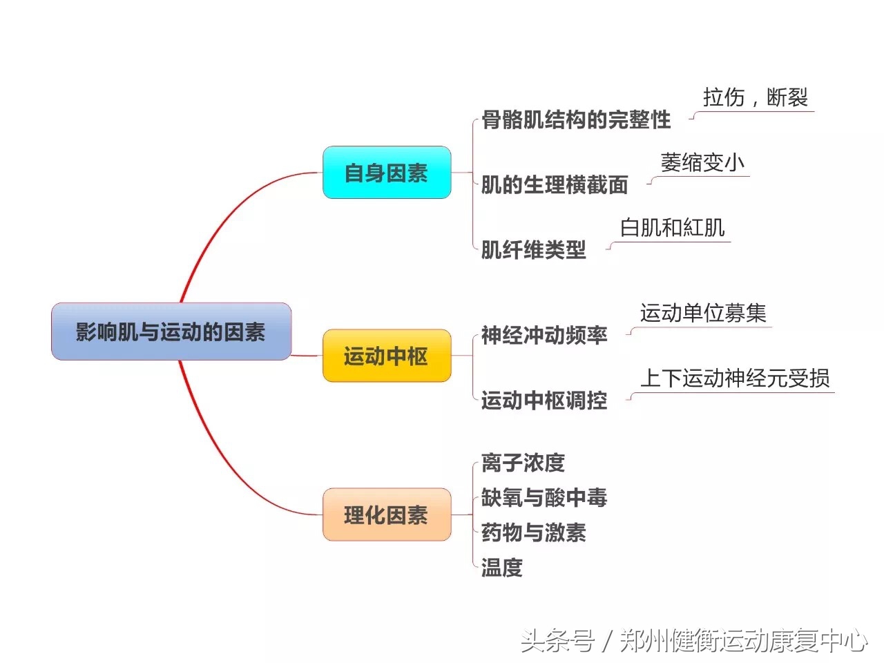 康复治疗技术专业职业思维导图,康复工程知识点思维导图