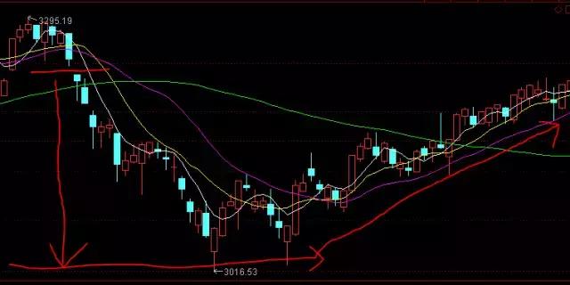 小财猫日常生活,小财猫