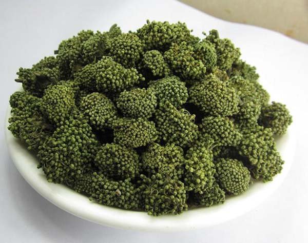 三七花的功效的视频,三七花的功效与作用价格