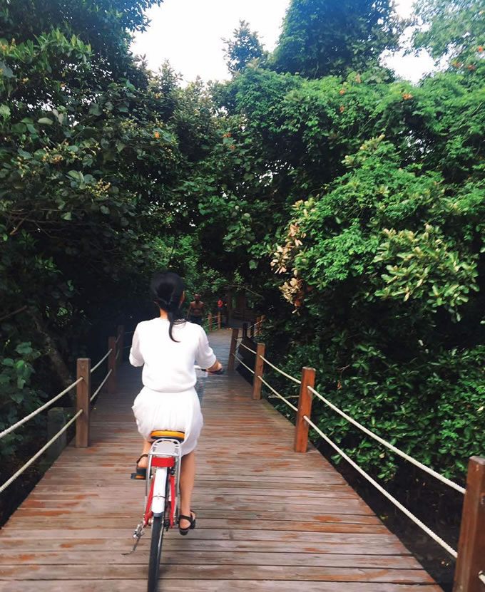 为什么选择在海南文昌买房,海南文昌今年适合买房子吗