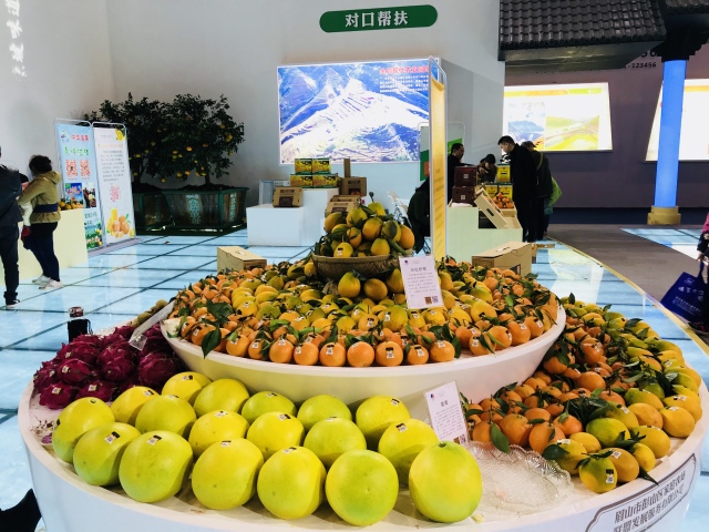 田田深入2017四川农博会，逛一圈，胖5斤！