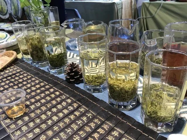 田田深入2017四川农博会，逛一圈，胖5斤！