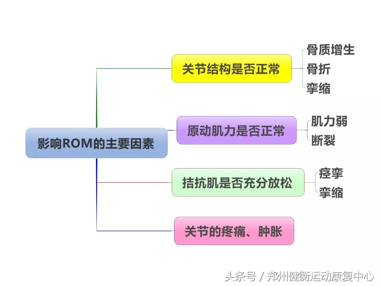 康复治疗技术专业职业思维导图,康复工程知识点思维导图