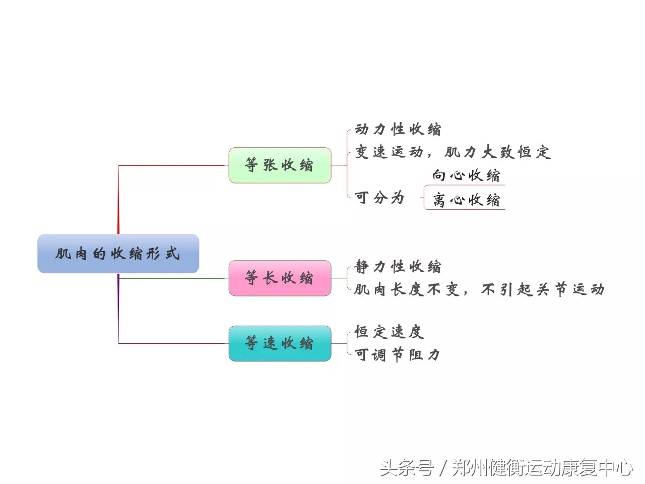 康复治疗技术专业职业思维导图,康复工程知识点思维导图