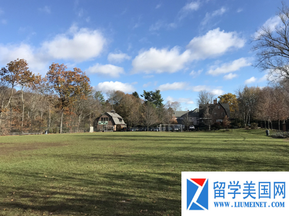 17年美高,美高17