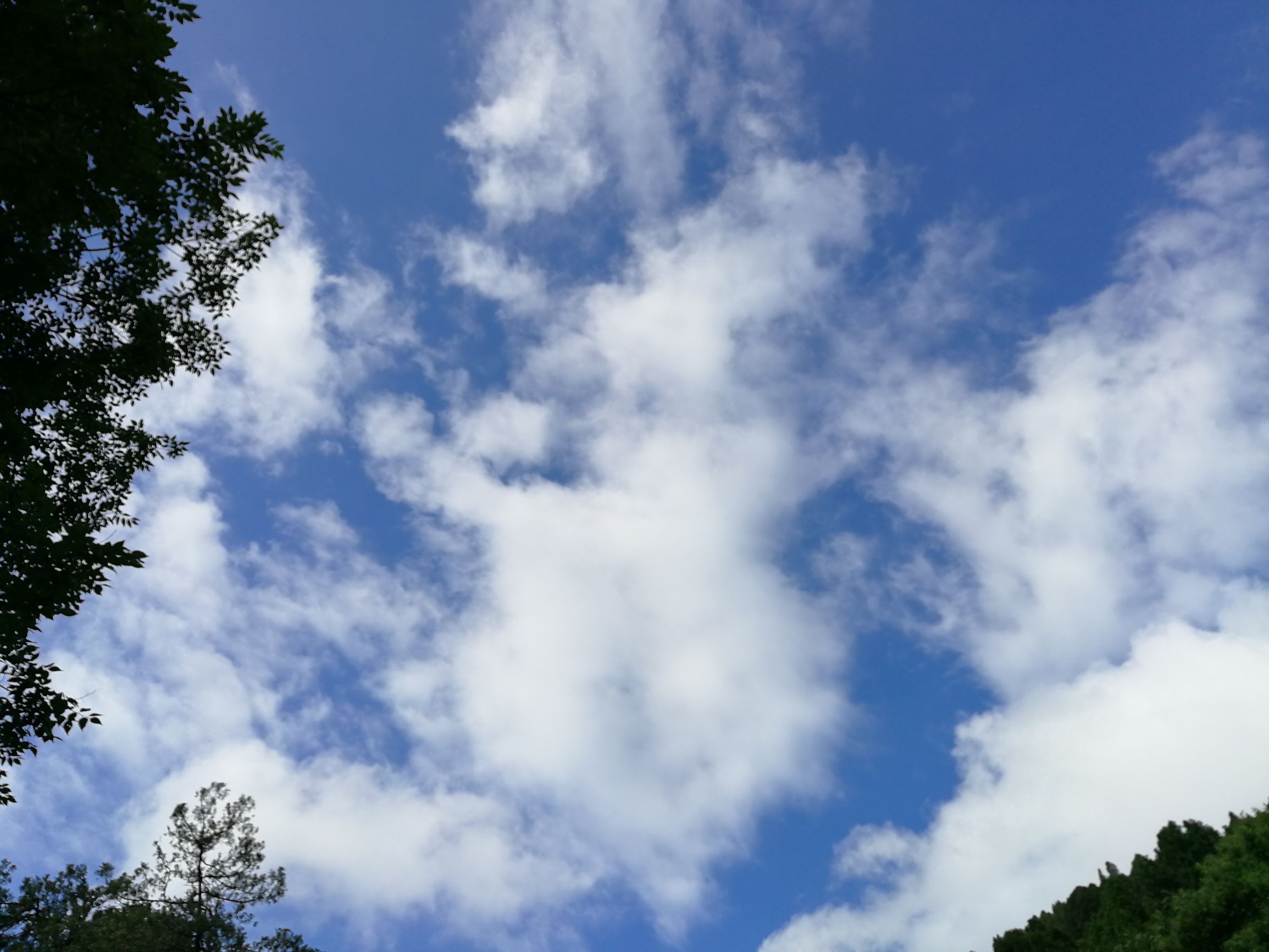 华为p10plus现在还能用吗,华为p10plus一年后的感受