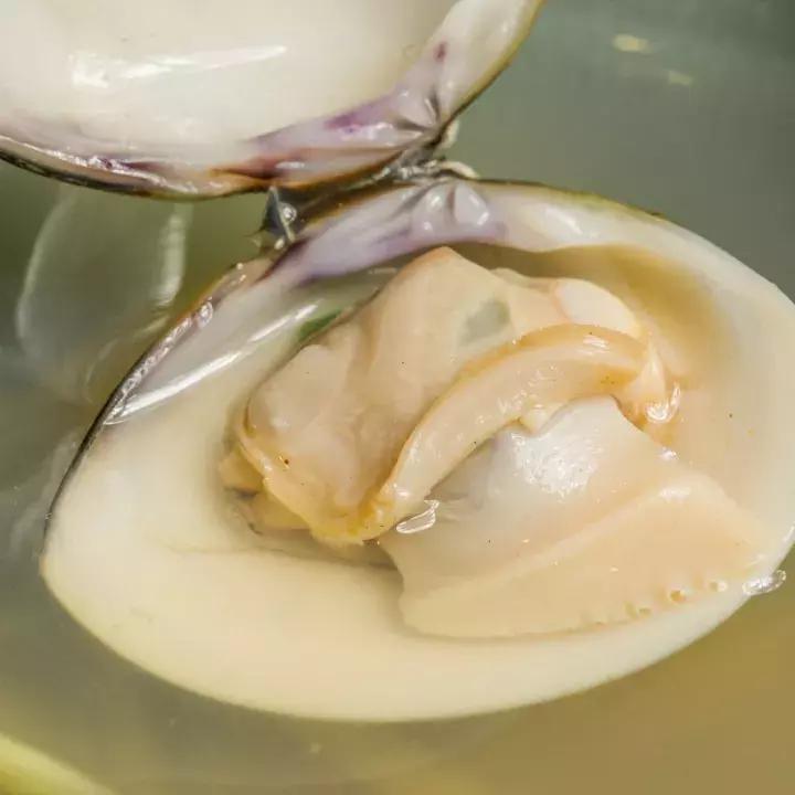 上海静安日料店新店开业,静安区这家日料店一绝