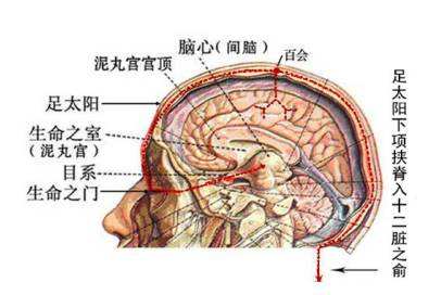 真正的神仙魏晋篇,真正的神仙世界魏晋篇