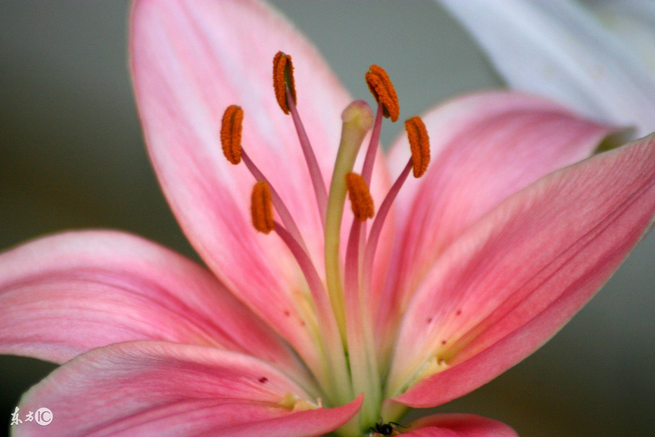 更年期之后又出现月经，是返老还童还是身体报警？