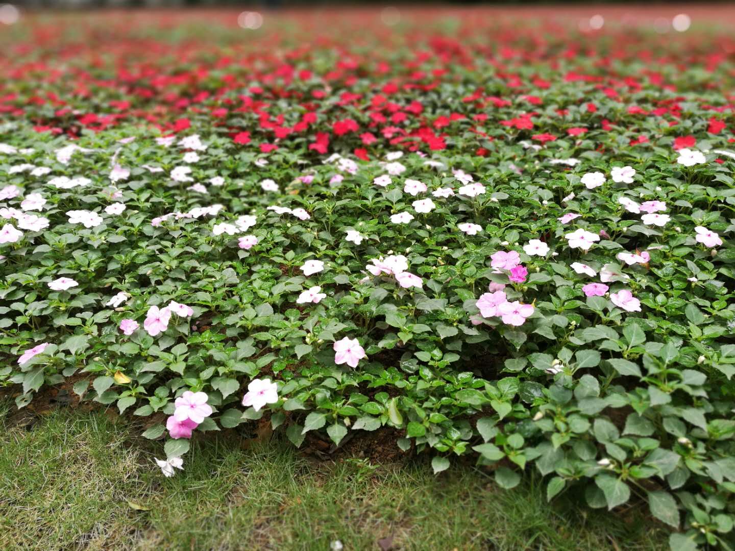 浣犳槸甯嚩鍏ㄦ枃鍏嶈垂闃呰,浣犳槸鍑舵墜甯嚩