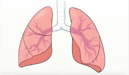 你留着那些垃圾干嘛英文,你留着那些垃圾干嘛英文歌