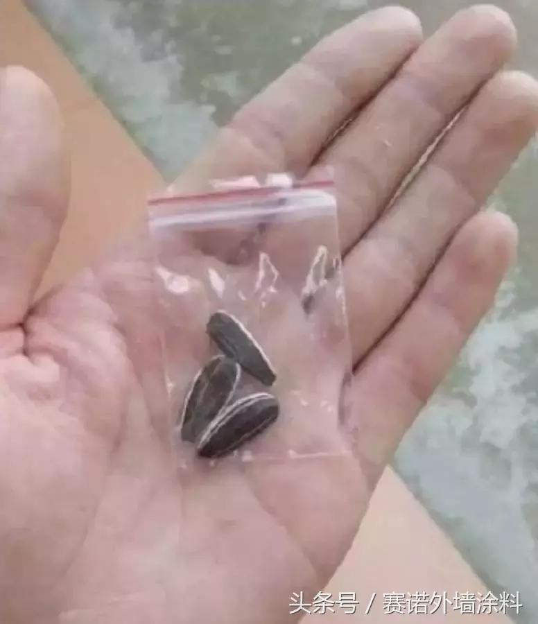 第一批双11买家秀新鲜出炉,双11过后第一批买家秀曝光