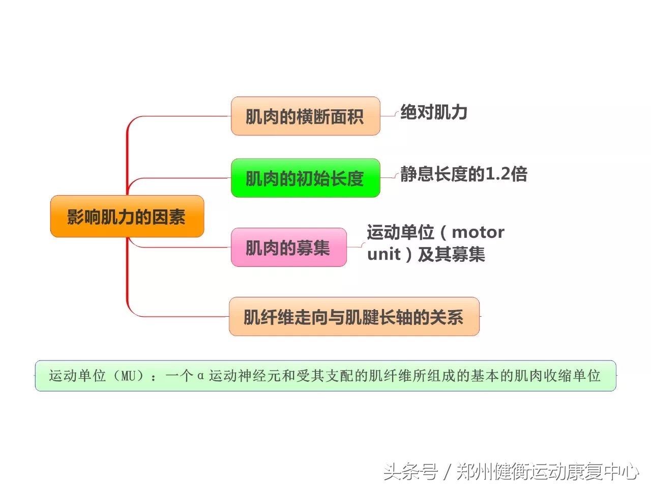 康复治疗技术专业职业思维导图,康复工程知识点思维导图