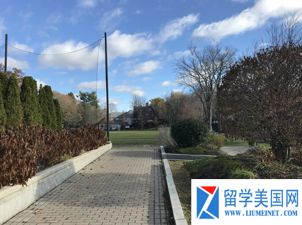 17年美高,美高17