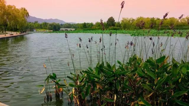 济南有什么好玩的风景区,济南小众文艺地方