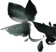 便秘了该看什么,便秘的人有什么偏方治疗