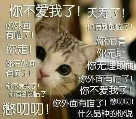 黑五eshop折扣,黑五意大利折扣