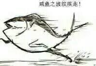 比起里番,我更喜欢这些丧气满满的成人动画